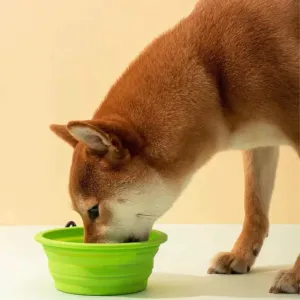 ,,,,()