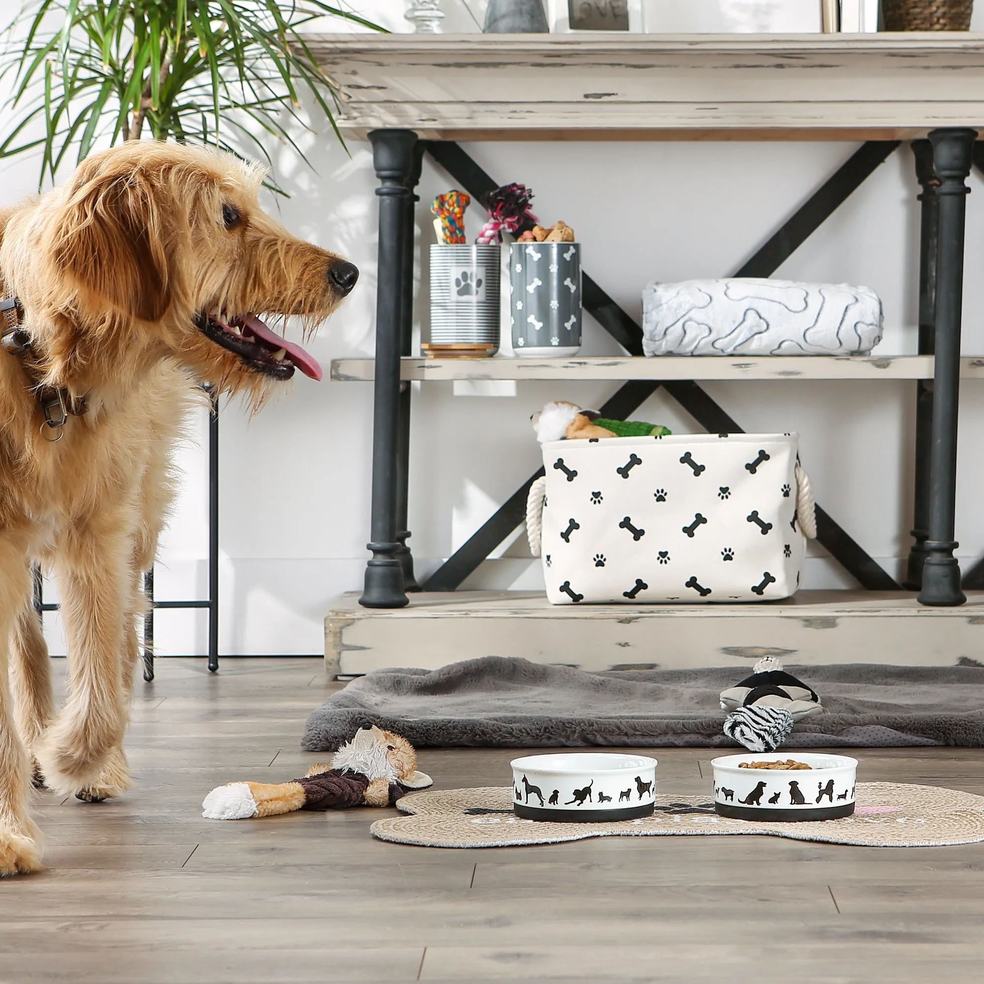 Black/White Dog Show Pet Bowl Set of 2, Medium - 1.5 C. Capacity