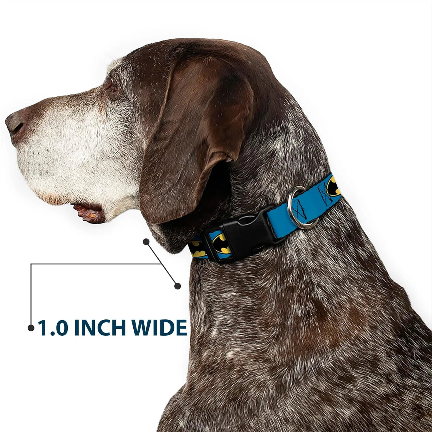 Buckle-Down Bat Signal 3 Blue/Black/Yellow Plastic Clip Collar, Narrow Medium/7-13"