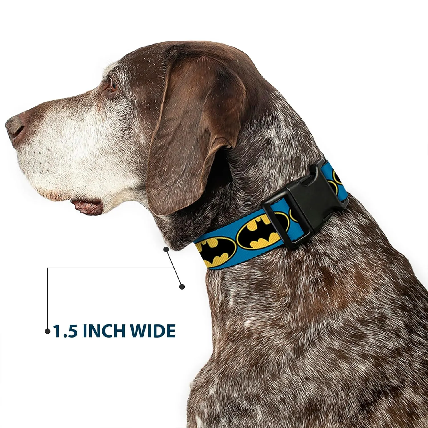Buckle-Down Bat Signal 3 Blue/Black/Yellow Plastic Clip Collar, Narrow Medium/7-13"