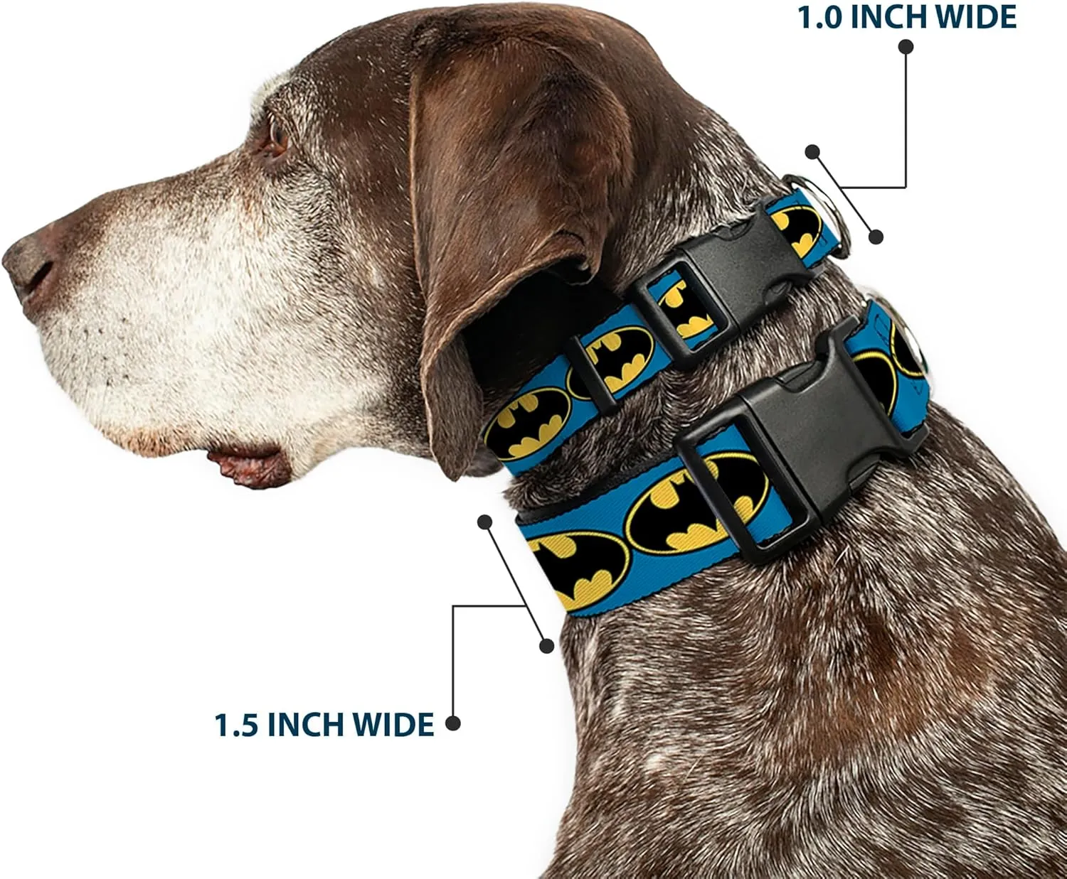 Buckle-Down Bat Signal 3 Blue/Black/Yellow Plastic Clip Collar, Narrow Medium/7-13"