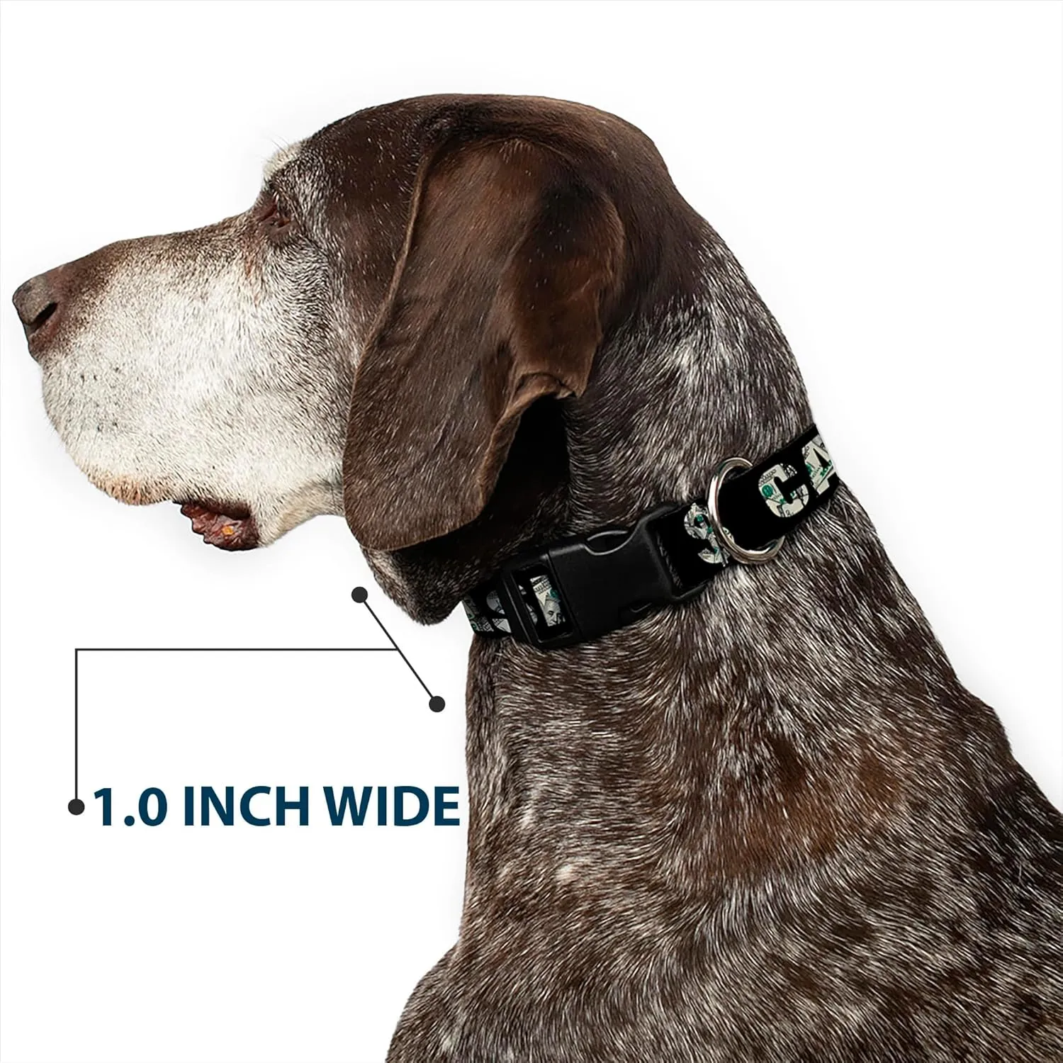 Buckle-Down Plastic Clip Collar - CASH MONEY $ Black/Dollars - 1/2" Wide - Fits 9-15" Neck - Large
