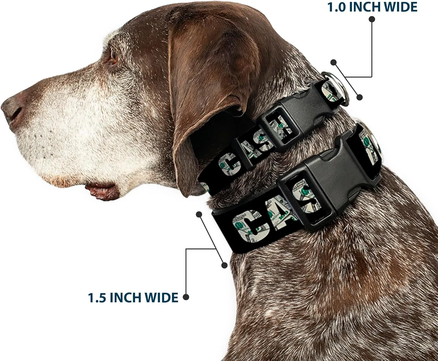 Buckle-Down Plastic Clip Collar - CASH MONEY $ Black/Dollars - 1/2" Wide - Fits 9-15" Neck - Large