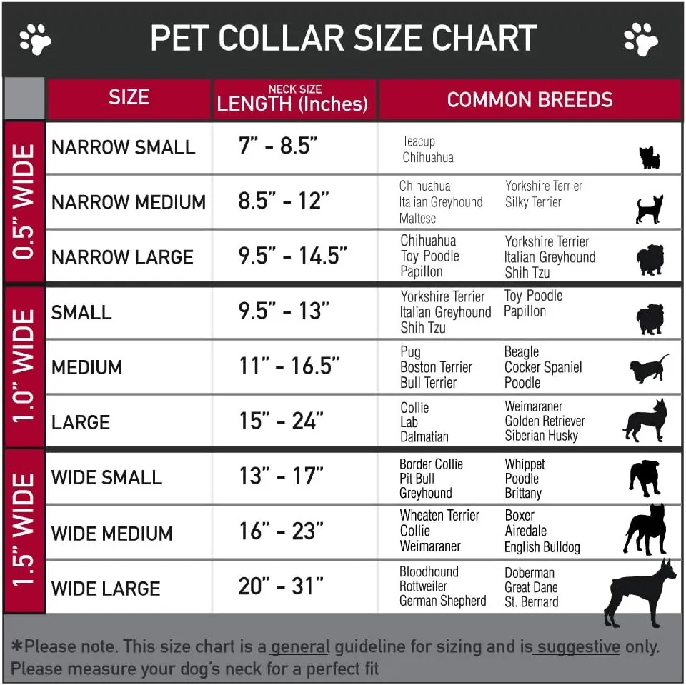 Buckle-Down Plastic Clip Collar - CASH MONEY $ Black/Dollars - 1/2" Wide - Fits 9-15" Neck - Large
