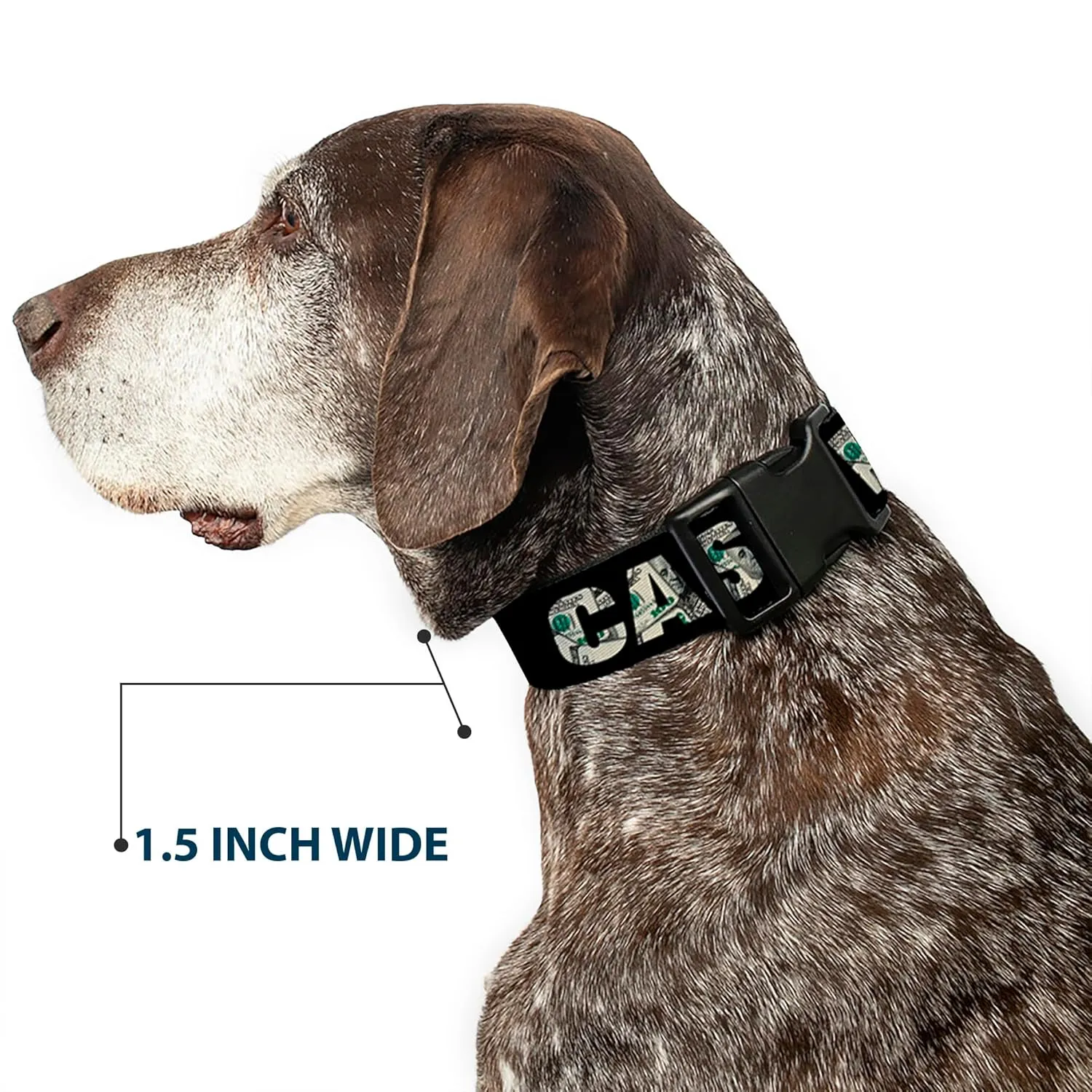 Buckle-Down Plastic Clip Collar - CASH MONEY $ Black/Dollars - 1/2" Wide - Fits 9-15" Neck - Large