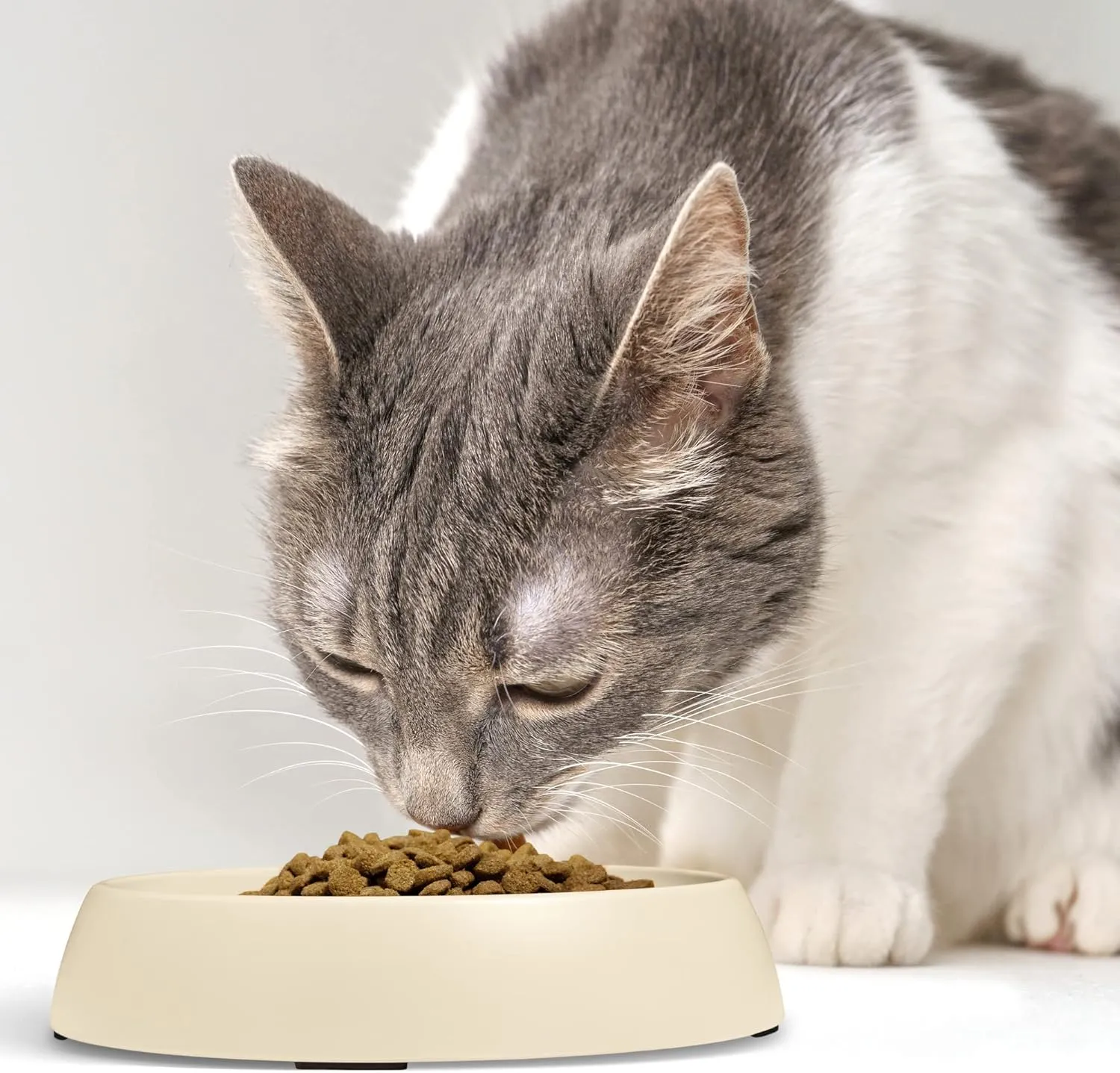 CatGuru Cat Bowls, Whisker Friendly Cat Food Bowl for Indoor Cats, Reliefs Whisker Fatigue, Wide Pet Bowl, Non Slip Pet Feeding Bowls, Shallow Kitten Dish (Set of 2, Sand)