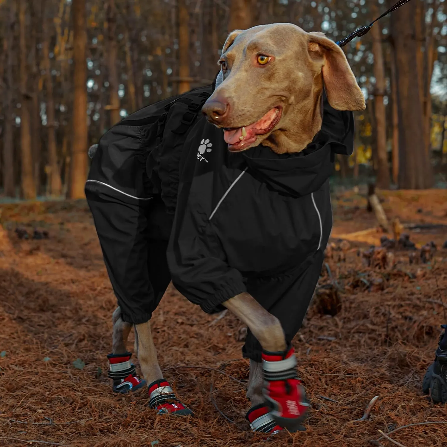 Dog Raincoat, Waterproof Winter Coat with Reflective Tape and Leash Holes, Lightweight &Windproof Jacket with Elasticized Belly and Cuff Designs,Black Dog Raincoat with Side Zipper