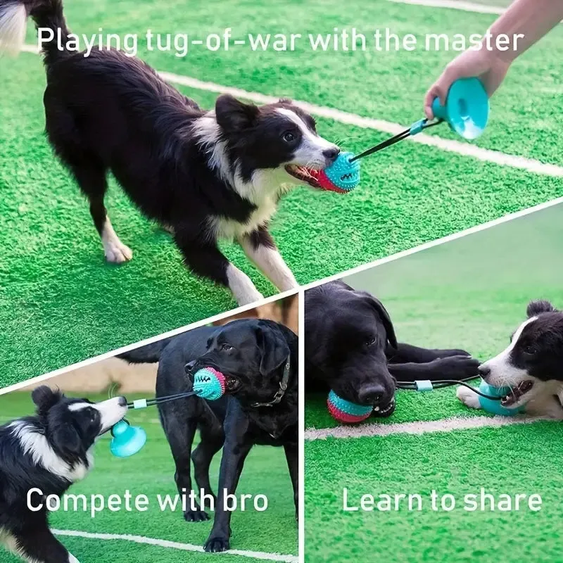 Durable Interactive Dog Toy for Aggressive Chewers – Tug-of-War & Treat Dispensing