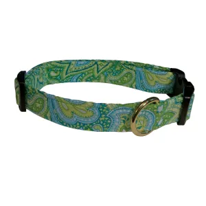 Elmo's Closet Borano Dog Collar