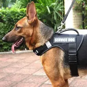 Embroidered Patch Velcro Service Dog Sticker