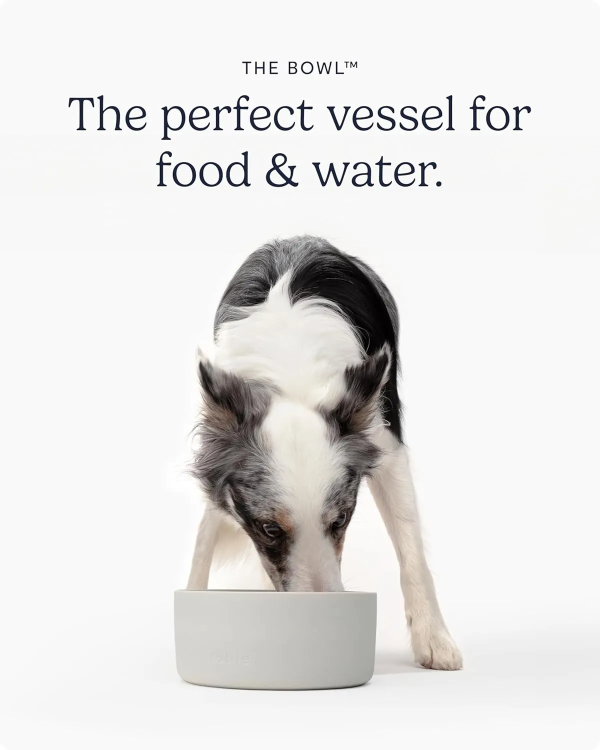 FABLE Weighted Ceramic Dog Bowl - Dual Textured, Modern Water and Food Bowl - Prevents Sliding - Food-Safe for Puppies - Tofu - M/L/XL