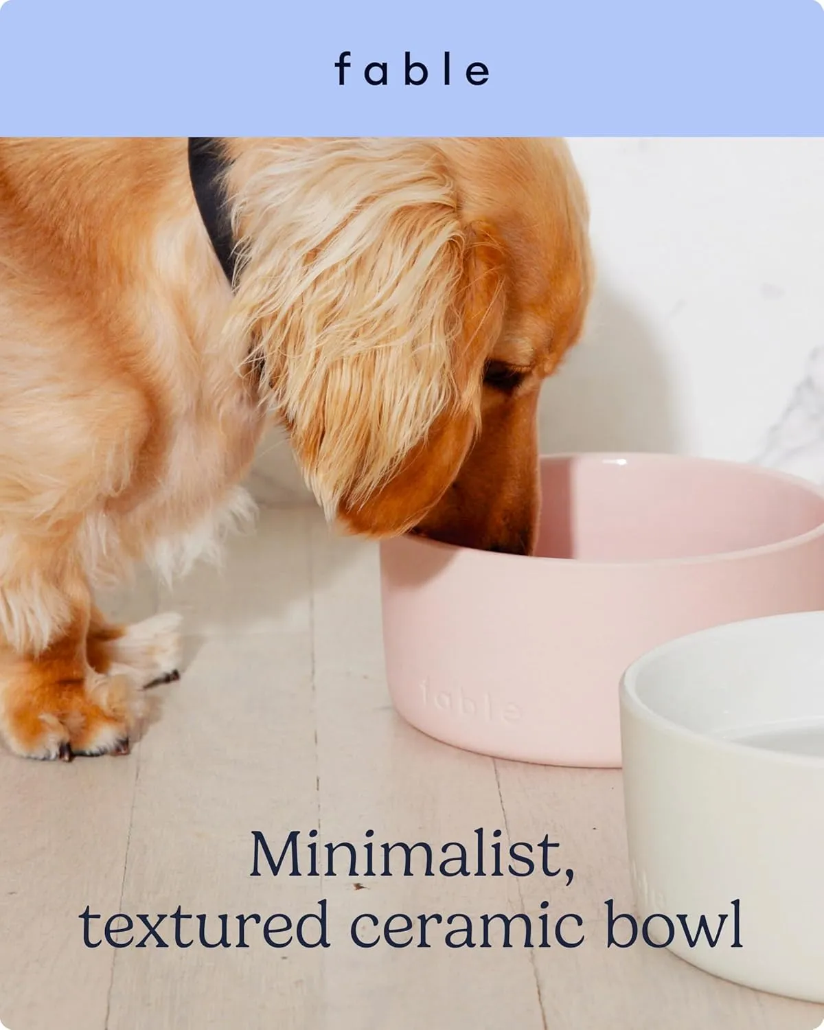 FABLE Weighted Ceramic Dog Bowl - Dual Textured, Modern Water and Food Bowl - Prevents Sliding - Food-Safe for Puppies - Tofu - M/L/XL