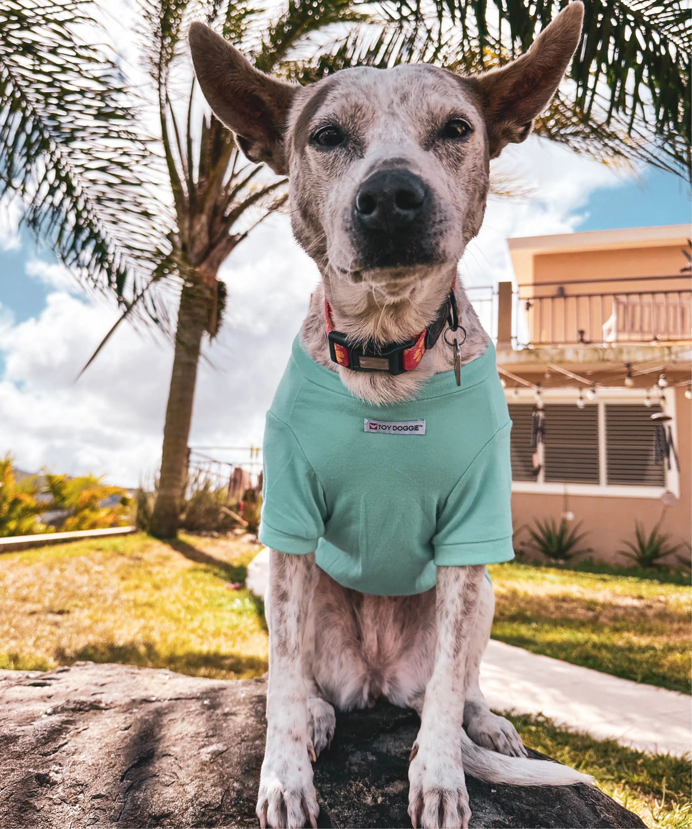 Fluffing Ray of Sunshine Pet Shirt | Toy Doggie™ | Comfortable and Durable Pet Apparel