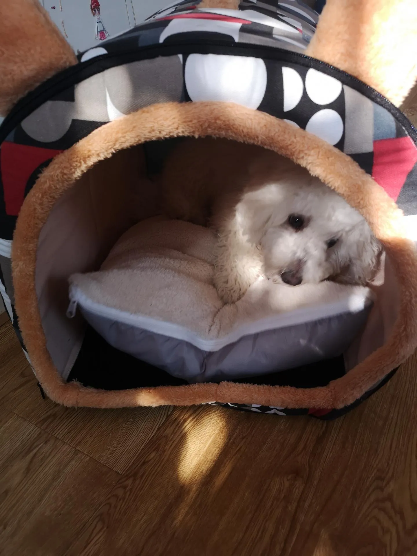 Foldable Dog Bed Pet House Sofa Nest