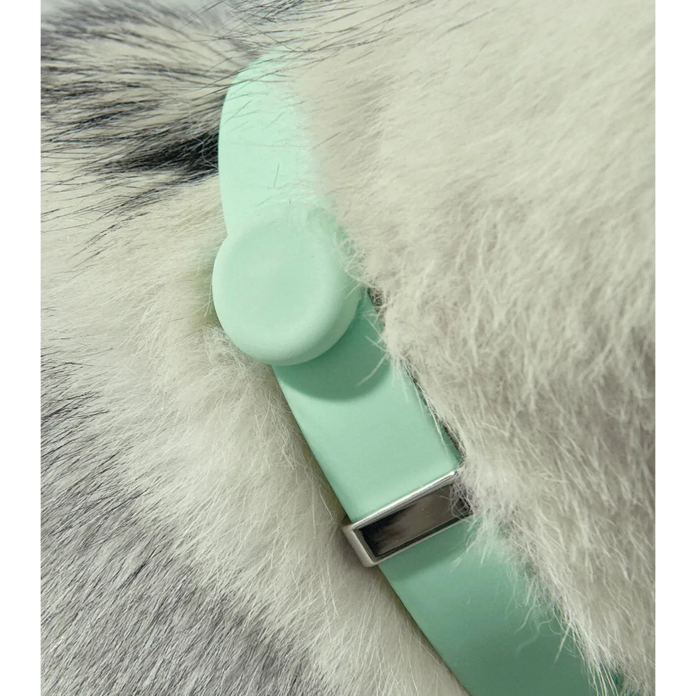 frank green Lilac Haze Dog Safety Light Large^^^