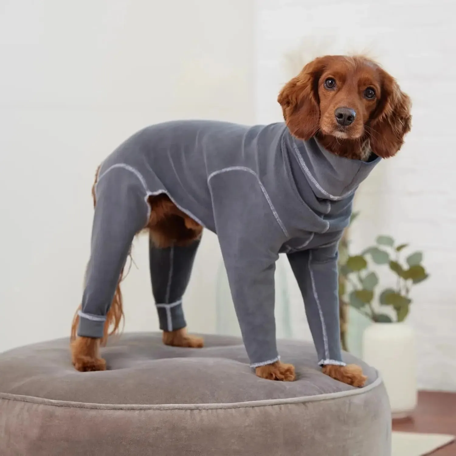 GF Pet Gondola Base Layer Dog Onesie