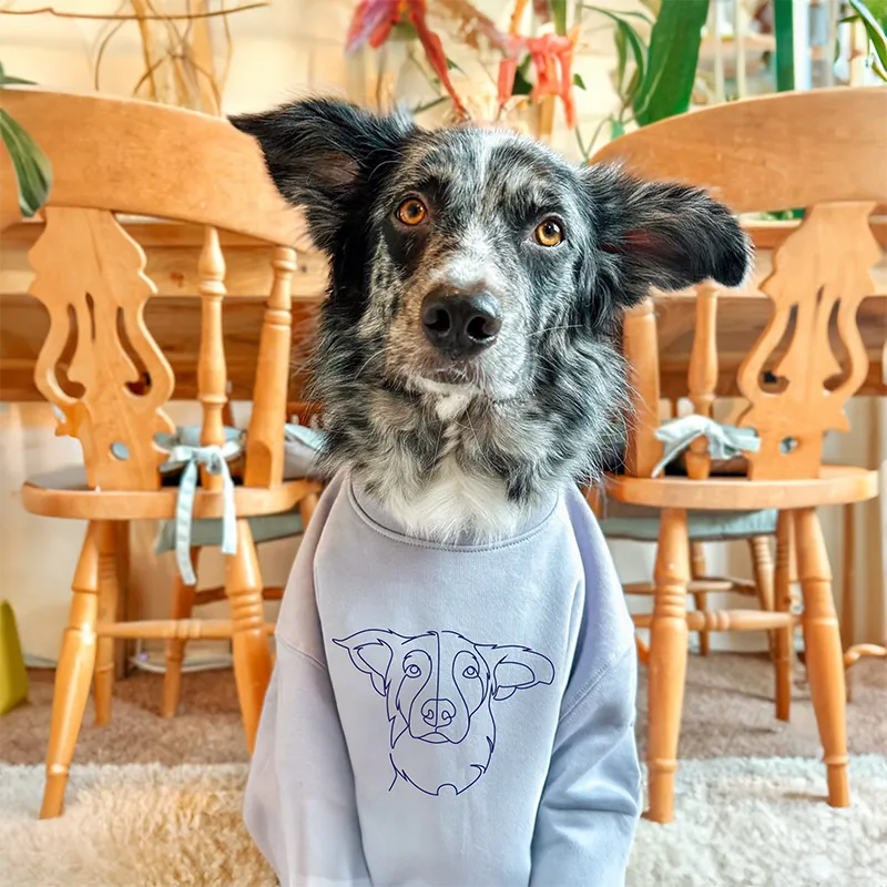 Gifts For Pet Custom Embroidered Sweatshirt and Hoodie