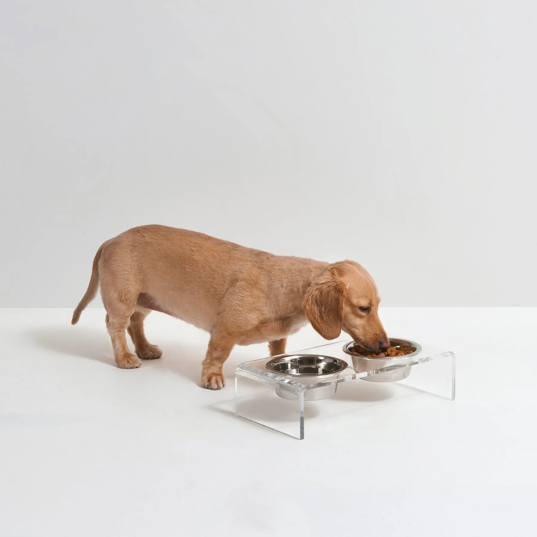Hiddin Small Pet Feeder with Stainless Steel Bowls & Raised Acrylic Stand