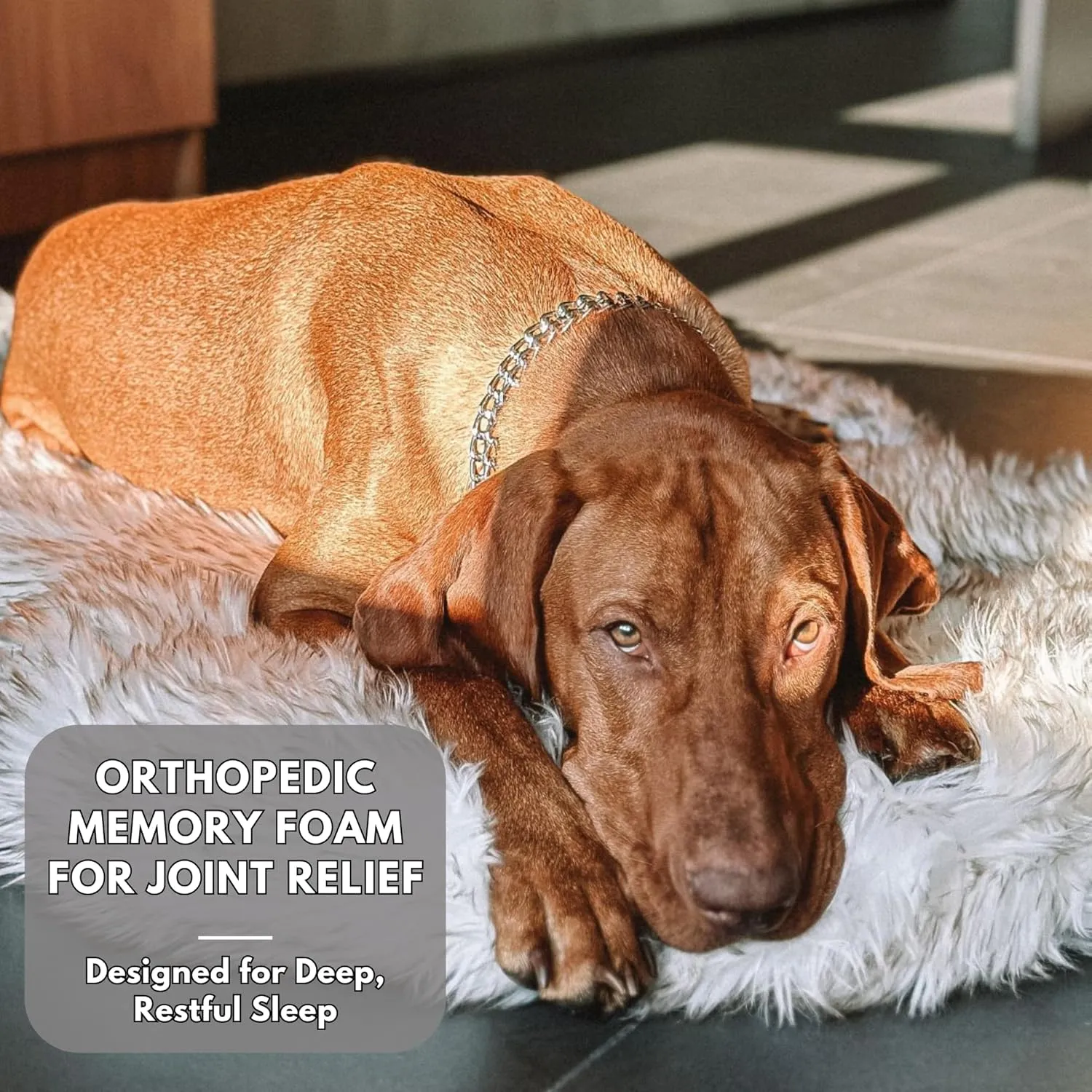IHAPPYDOG Luxury Faux Fur Orthopedic Dog Bed, Memory Foam Dog Bed for Small, Medium, Large and XL Pets, Fluffy Pet Rug with Waterproof and Washable Cover, White, Giant 60x35
