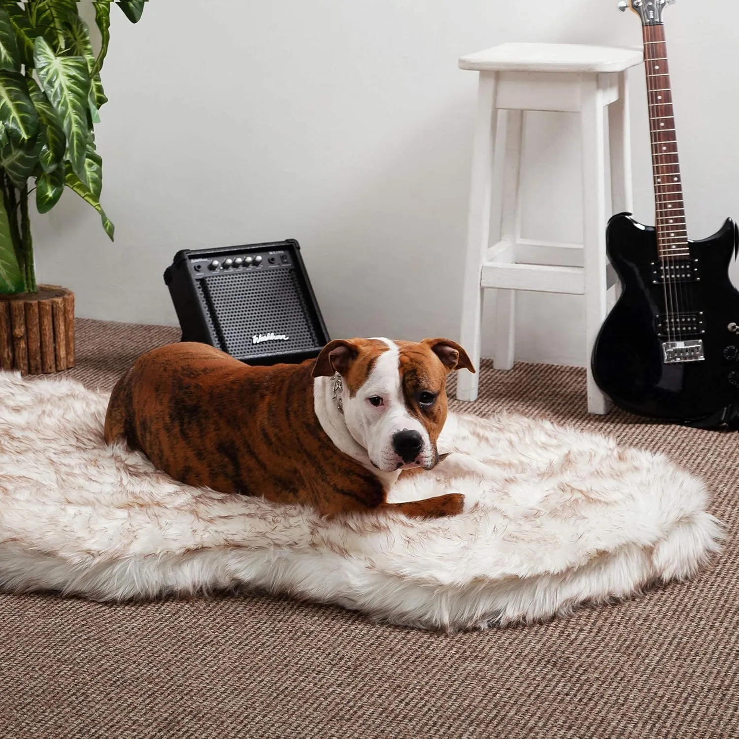 IHAPPYDOG Luxury Faux Fur Orthopedic Dog Bed, Memory Foam Dog Bed for Small, Medium, Large and XL Pets, Fluffy Pet Rug with Waterproof and Washable Cover, White, Giant 60x35