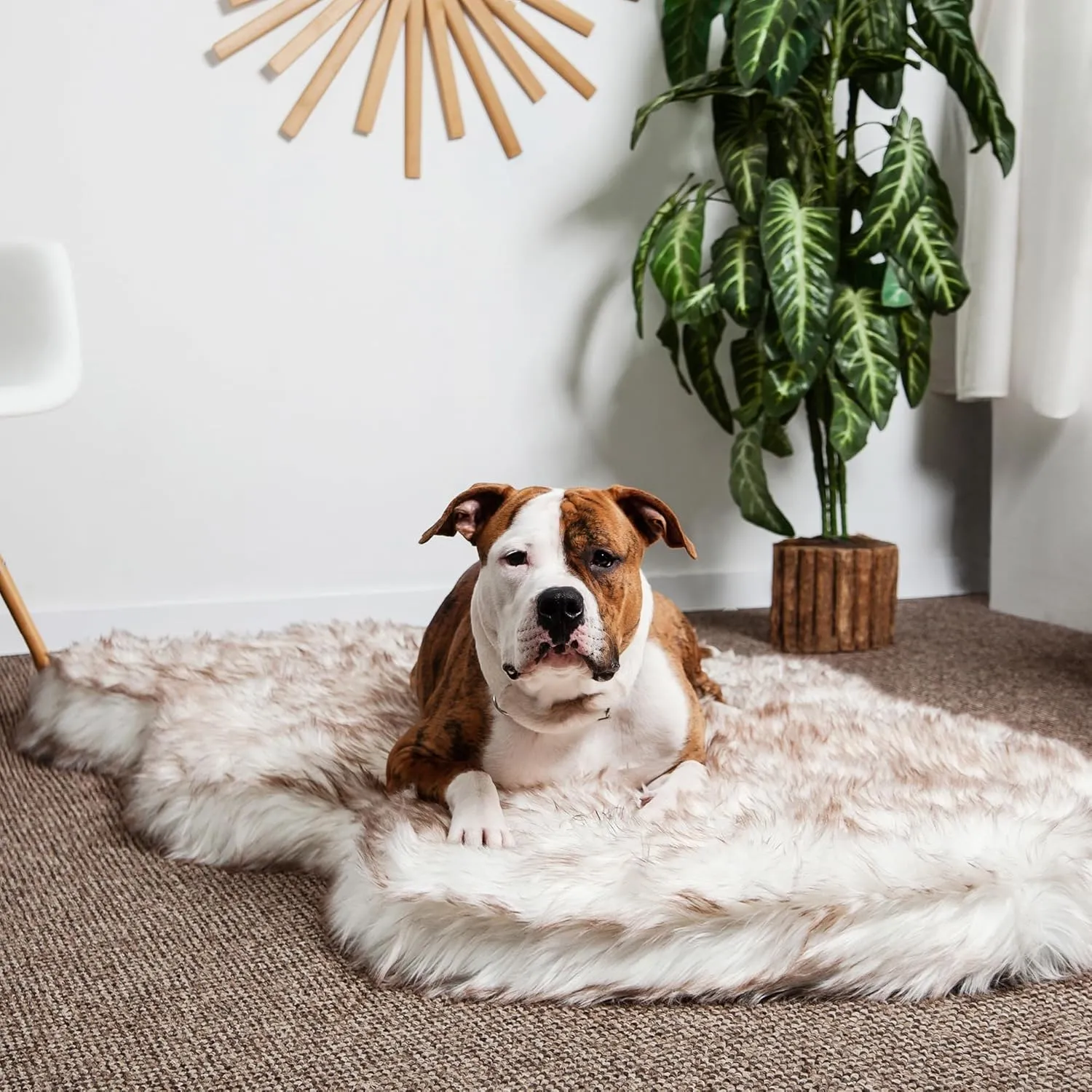 IHAPPYDOG Luxury Faux Fur Orthopedic Dog Bed, Memory Foam Dog Bed for Small, Medium, Large and XL Pets, Fluffy Pet Rug with Waterproof and Washable Cover, White, Giant 60x35