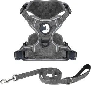 Joytale No Pull Mesh Dog Harness and Reflective Dog 6FT x 1" Leash Combo with Neoprene Handle for Medium Dogs (Grey,M)