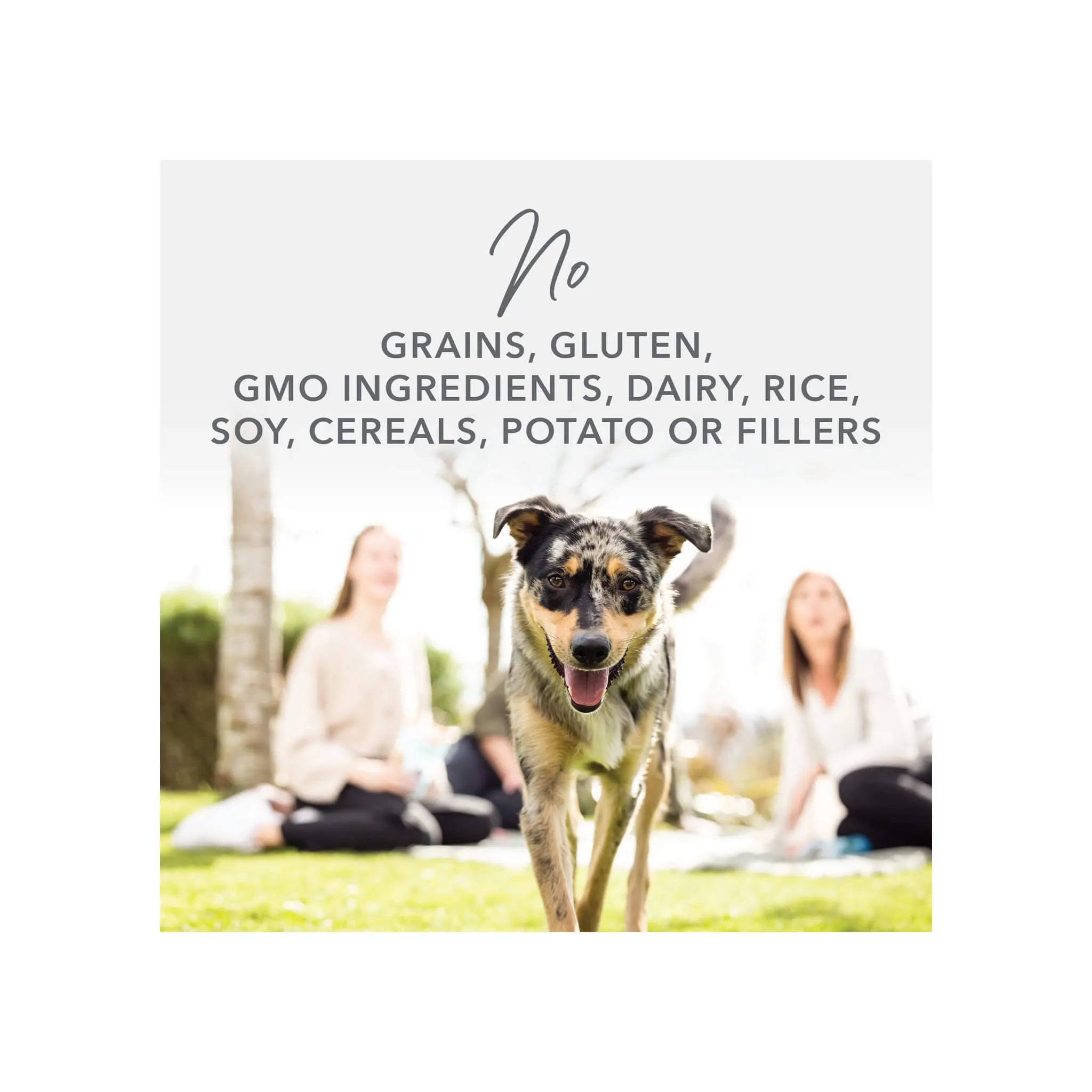 K9 Natural Freeze-Dried Dog Food