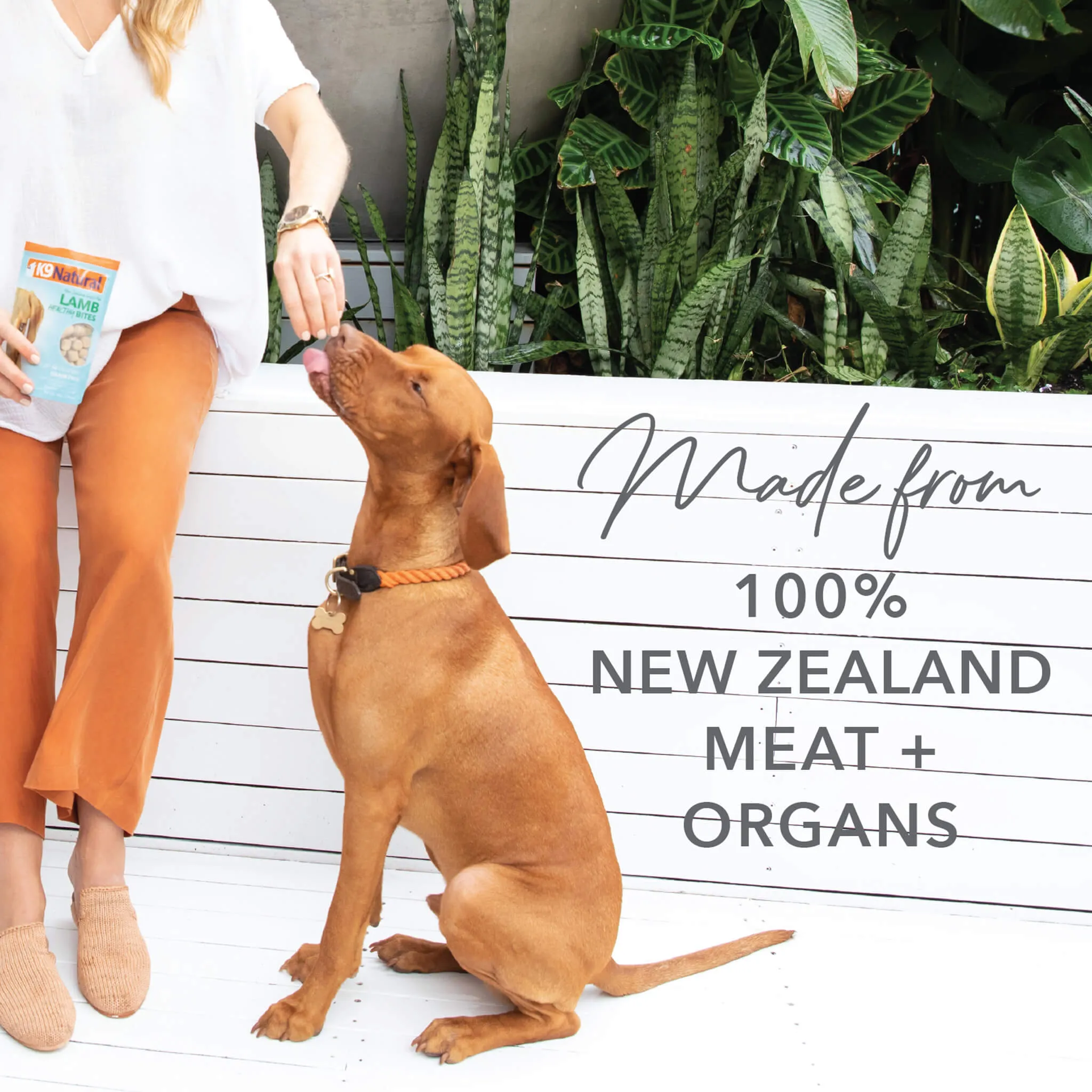 K9 Natural Freeze-Dried Dog Food