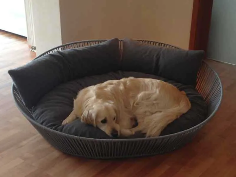 Luxury Orthopaedic Siro Twist Dog Basket