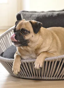 Luxury Orthopaedic Siro Twist Dog Basket