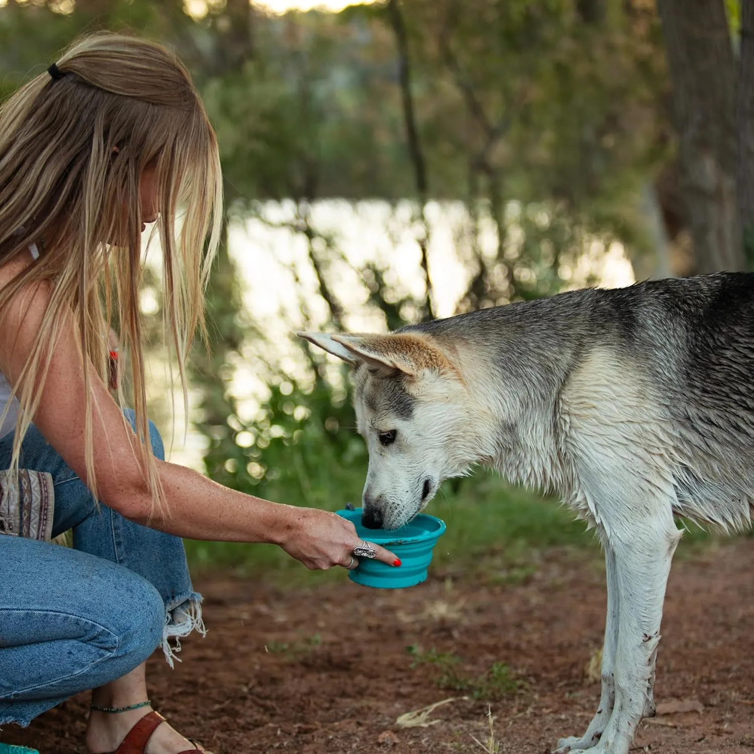 Messy Mutts Silicone Collapsible Bowl | Pet Travel Necessity | Portable Water or Food Dish | Pop Up Watering Bowl | Camping, Hiking, Walking Accessory | Small, 1.75 Cups | Watermelon