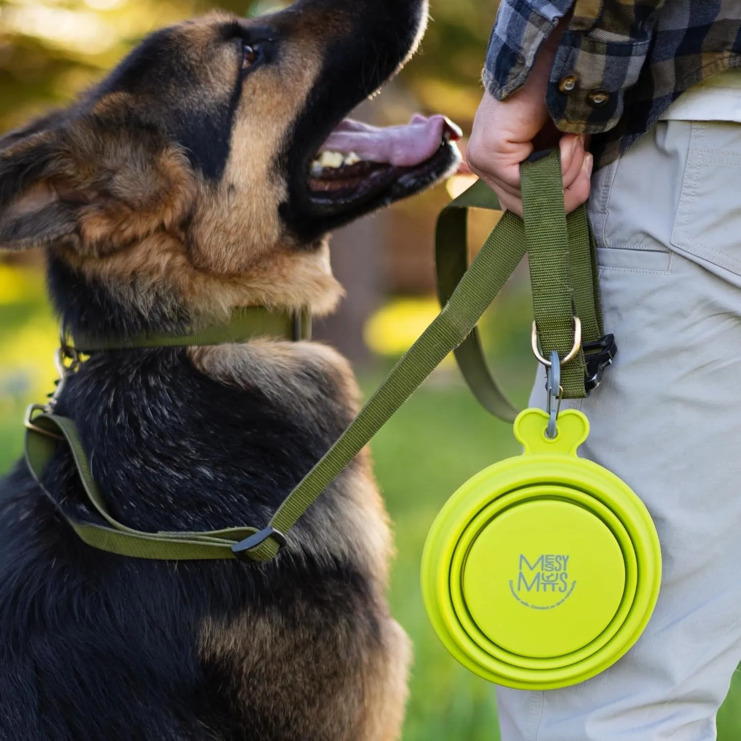 Messy Mutts Silicone Collapsible Bowl | Pet Travel Necessity | Portable Water or Food Dish | Pop Up Watering Bowl | Camping, Hiking, Walking Accessory | Small, 1.75 Cups | Watermelon