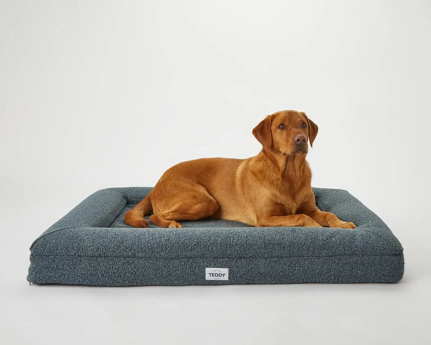 Navy Boucle Fabric Bed for Dogs - S/M/L