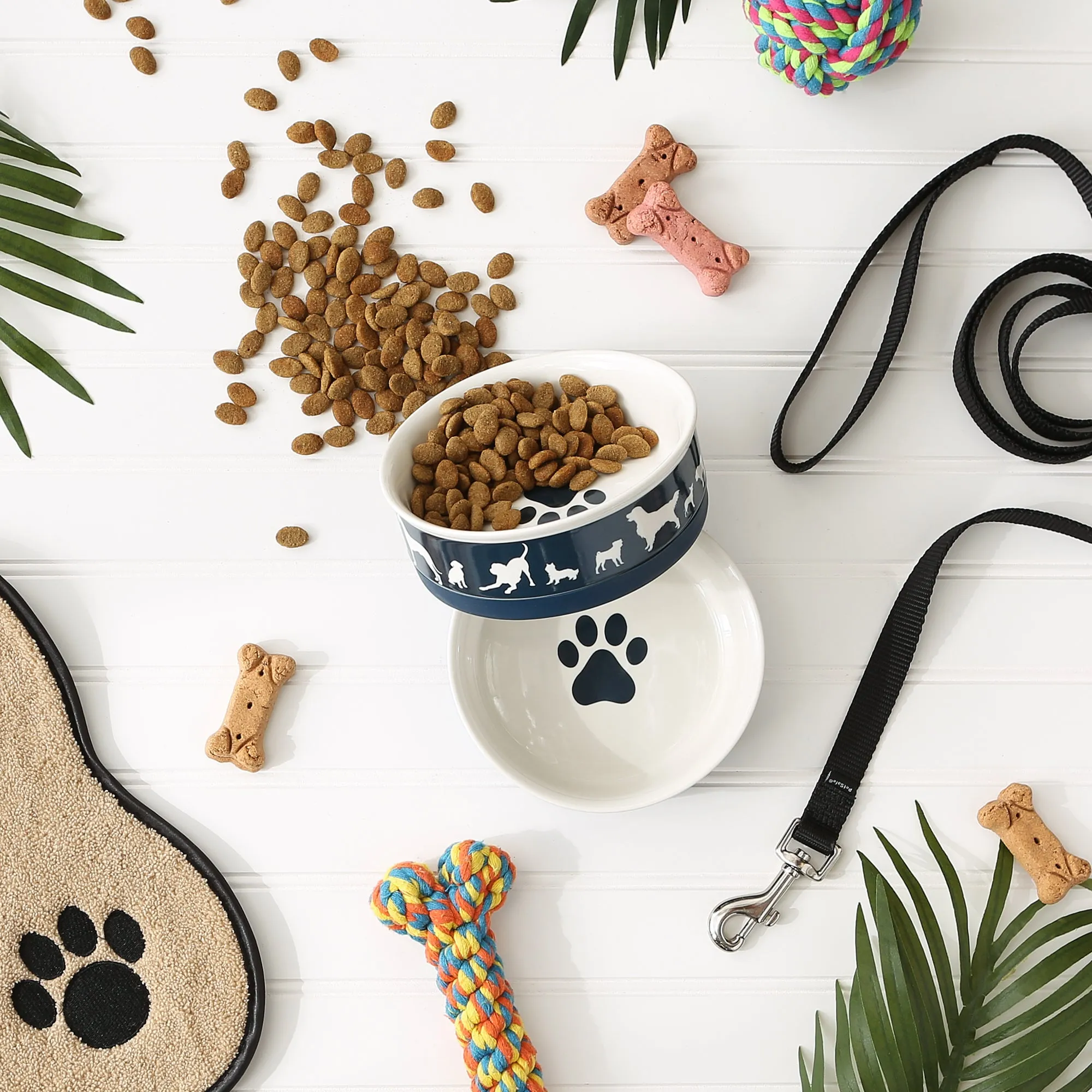 Navy Dog Show Pet Bowl Set/2, Medium - 1.5 C. Capacity