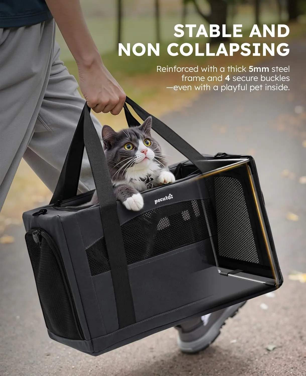 Pecute Cat Carrier Stale, Pet Carrier Breathable and Portable, Cat Carriers Bag with Scientific Hidden Partition, Carriers for Cat Under 5kg, Dog Carriers Suitable for Travel and Outing, Dark Gray