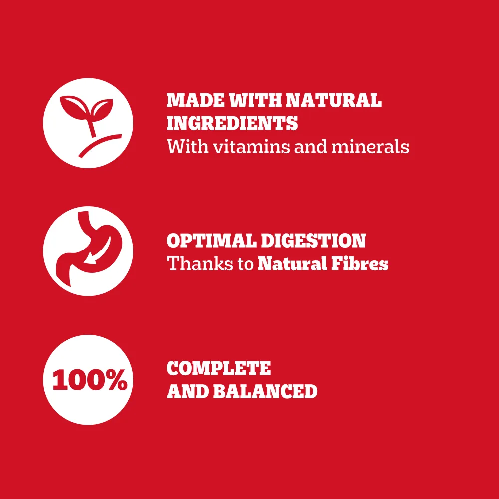 Pedigree | Wet Dog Food | Protein  Plus Mixed Selection in Loaf - 6 x 400g Tins