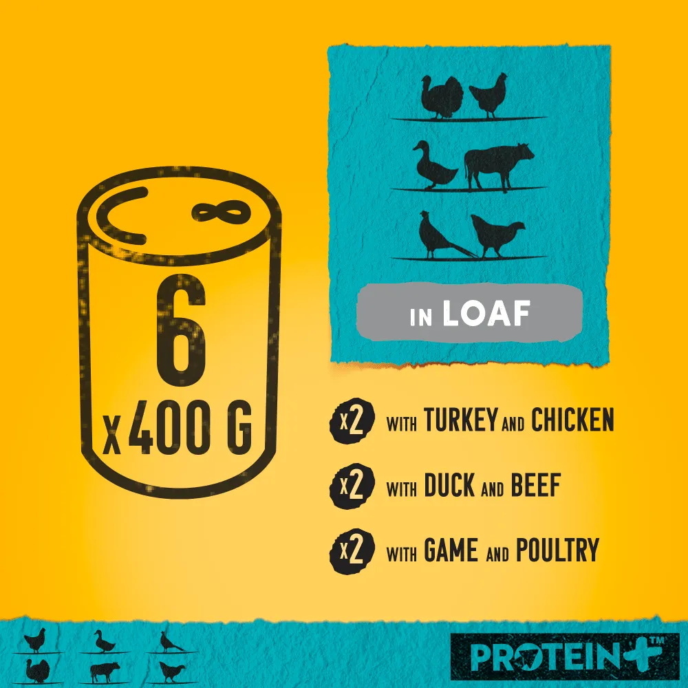 Pedigree | Wet Dog Food | Protein  Plus Mixed Selection in Loaf - 6 x 400g Tins