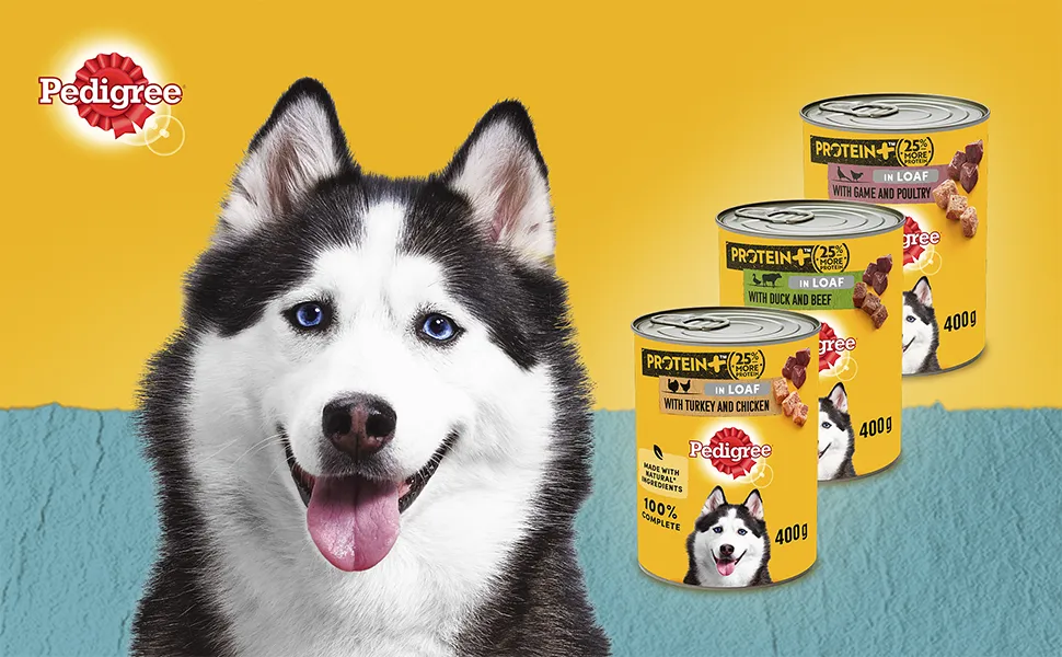 Pedigree | Wet Dog Food | Protein  Plus Mixed Selection in Loaf - 6 x 400g Tins