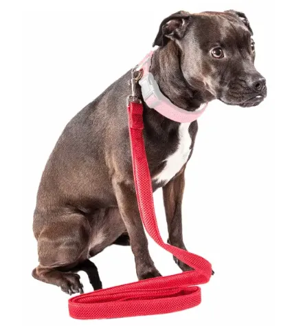Pet Life 'Aero Mesh' Comfortable Adjustable Dog Leash