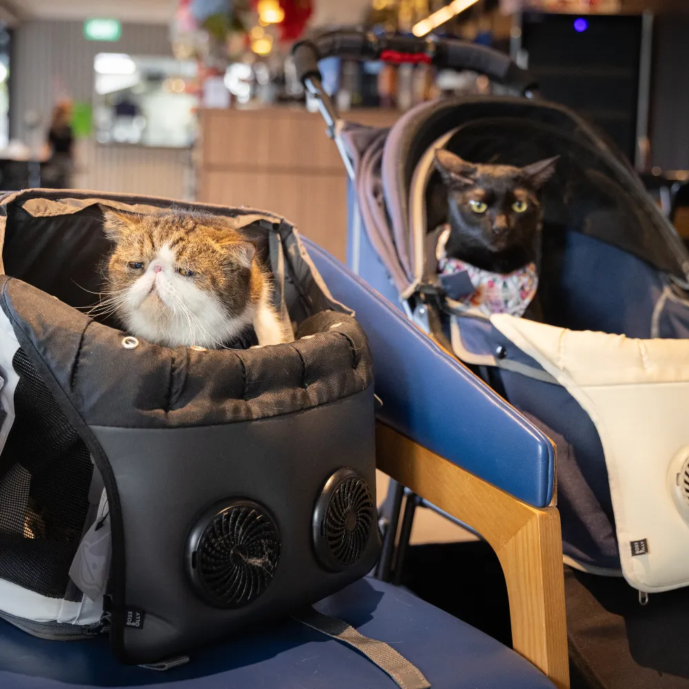 Pet Stroller Fan