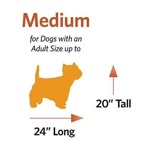 Plush Dog Bed | Ombré Swirl Dog Bed & Cat Bed | Gray 29L x 21W x 2H-Inches for Medium Dog Breeds