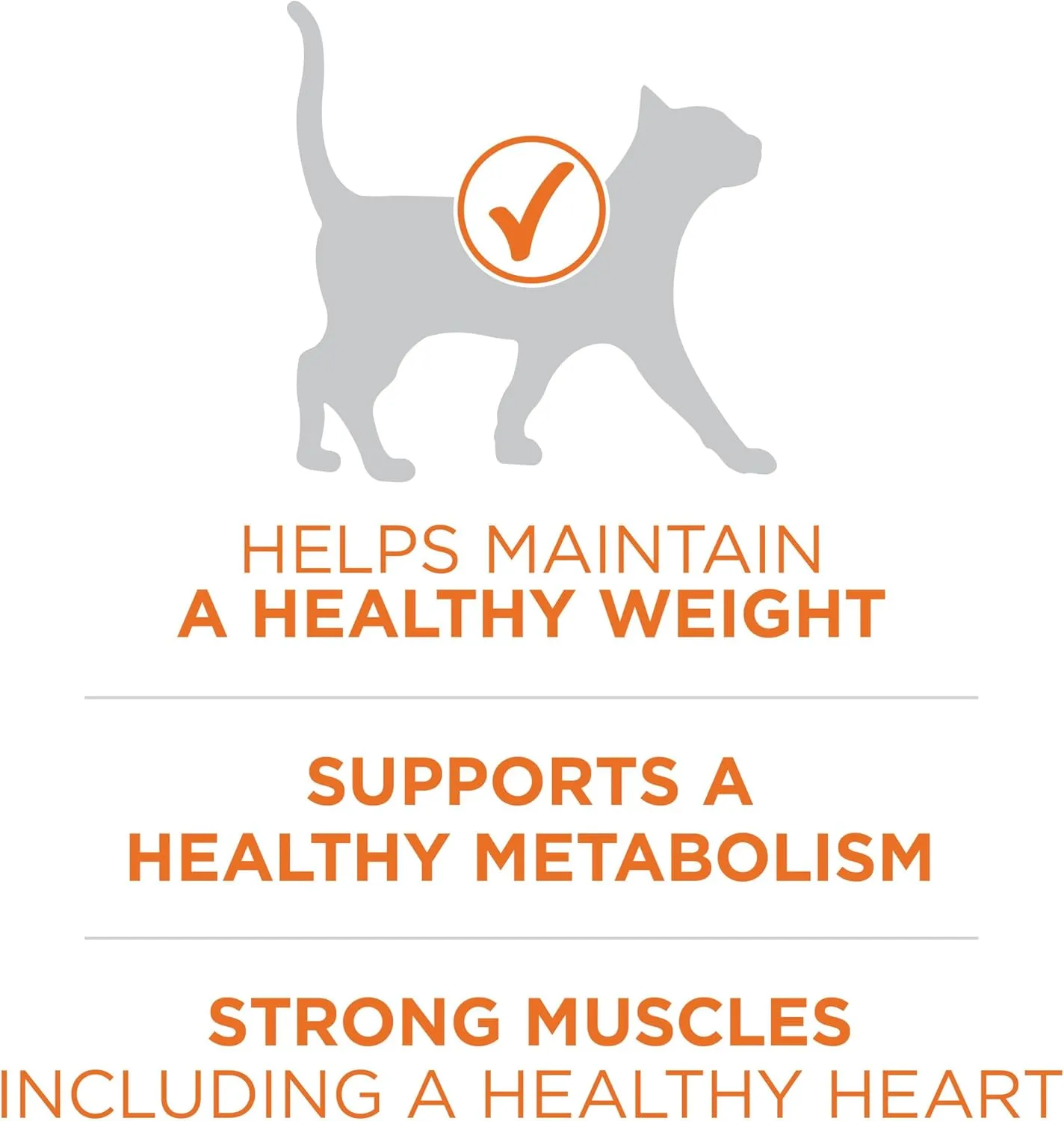 Purina ONE High Protein, Healthy Weight Dry Cat Food,  Plus Ideal Weight With Turkey - 3.5 lb. Bag