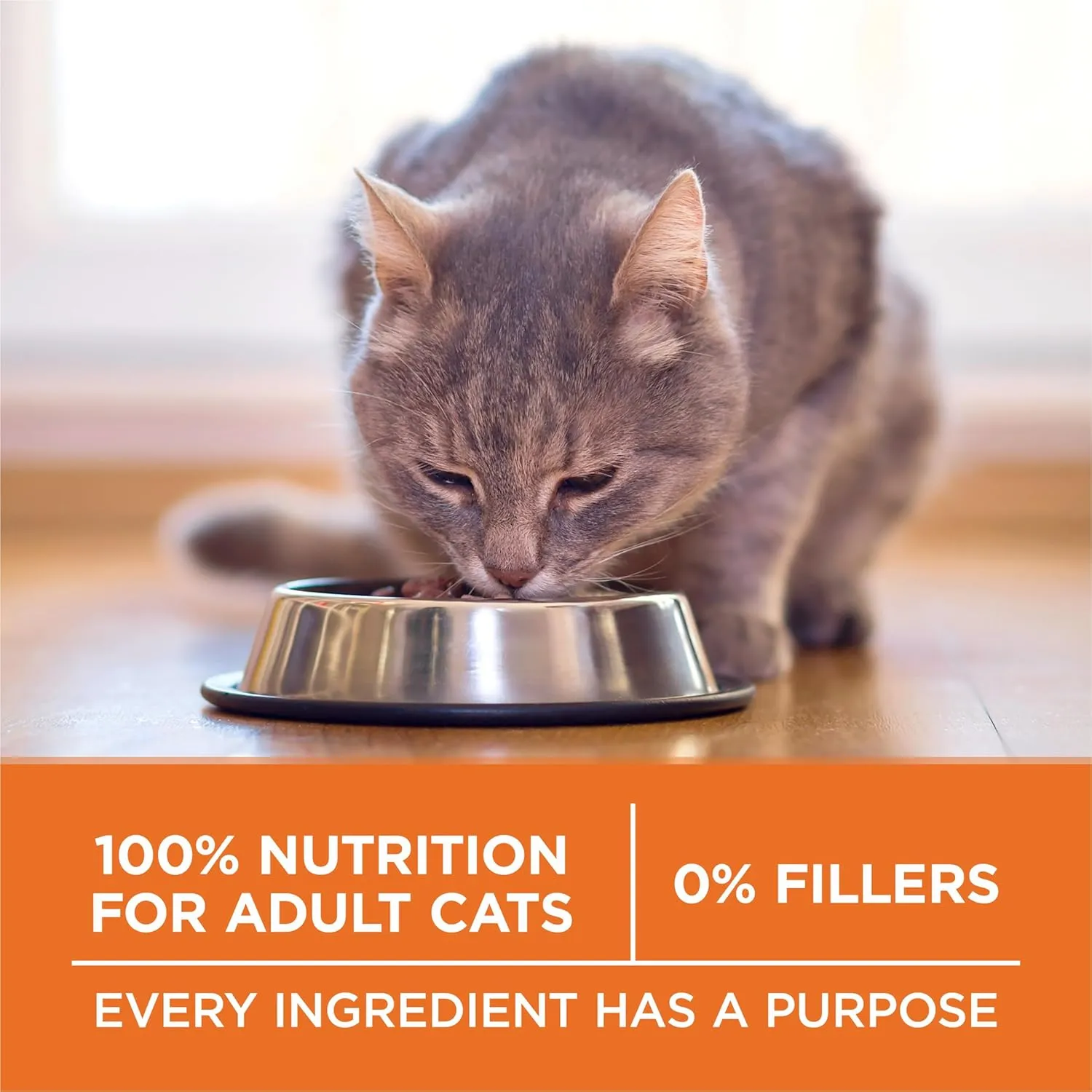 Purina ONE High Protein, Healthy Weight Dry Cat Food,  Plus Ideal Weight With Turkey - 3.5 lb. Bag