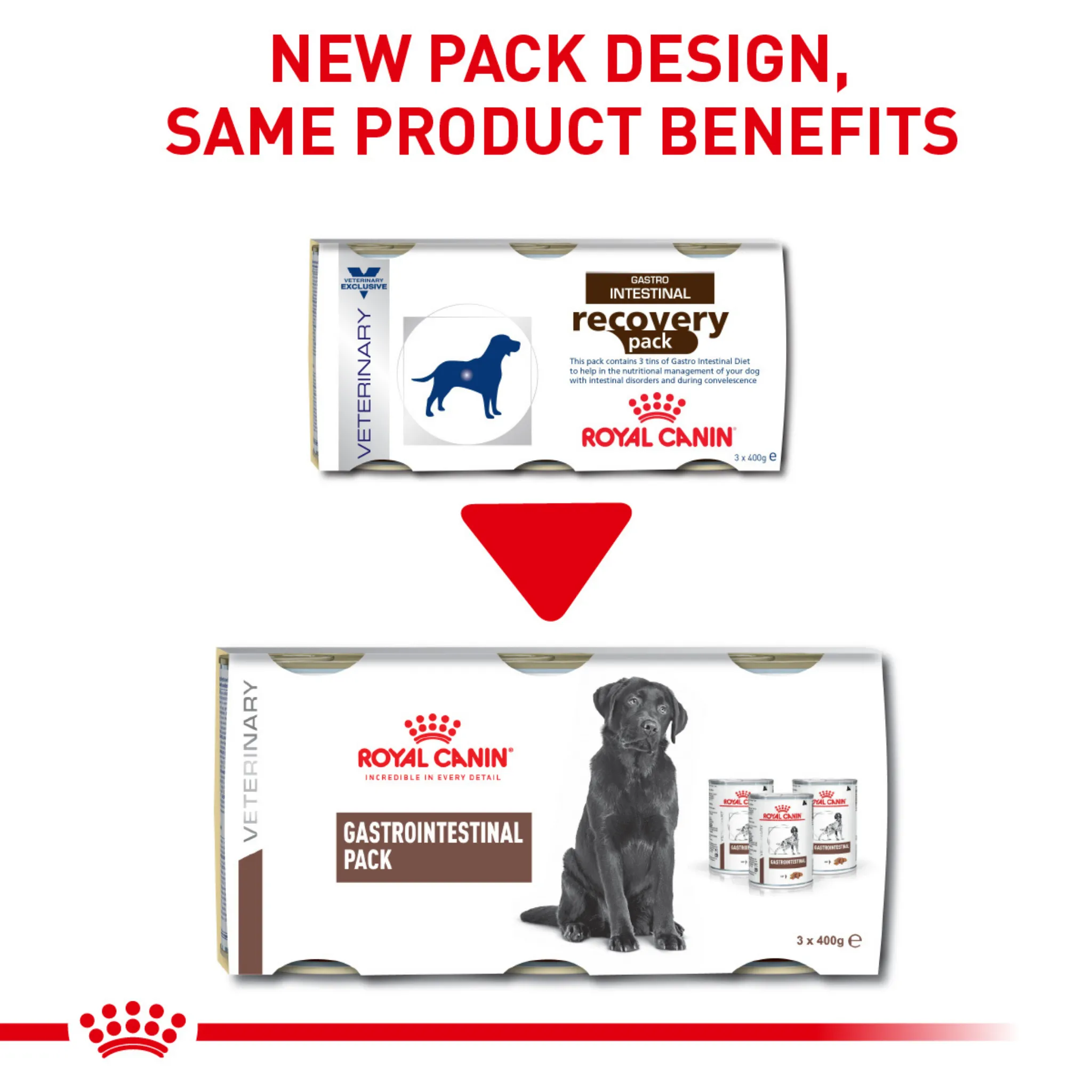 ROYAL CANIN® Gastrointestinal Pack Adult Wet Dog Food
