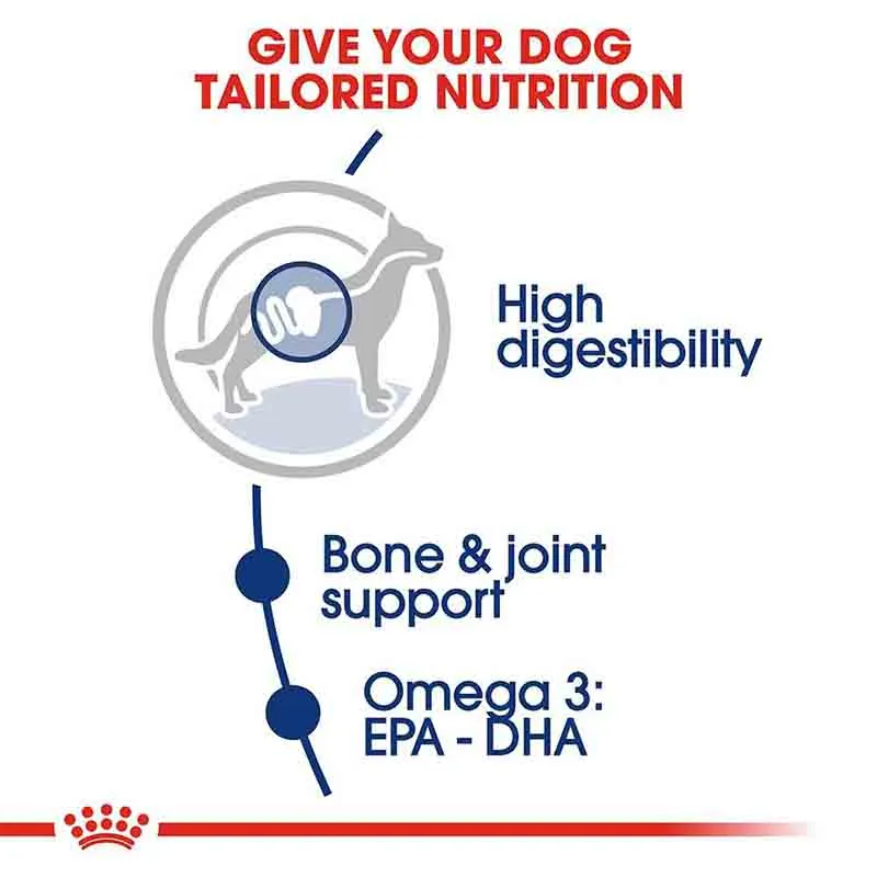 Royal Canin Mini Adult Dog Food