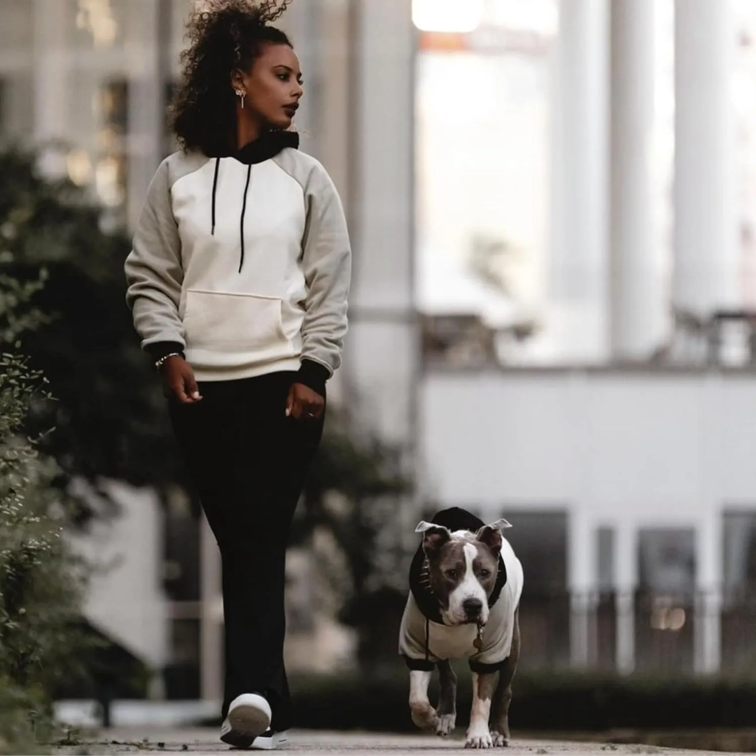Spark Paws Dog Hoodie - Premium Quality, Buttery Soft, Superior Comfort and Fit, Calming Fleece Interior, Suitable for All Breeds - Olive Cream - S