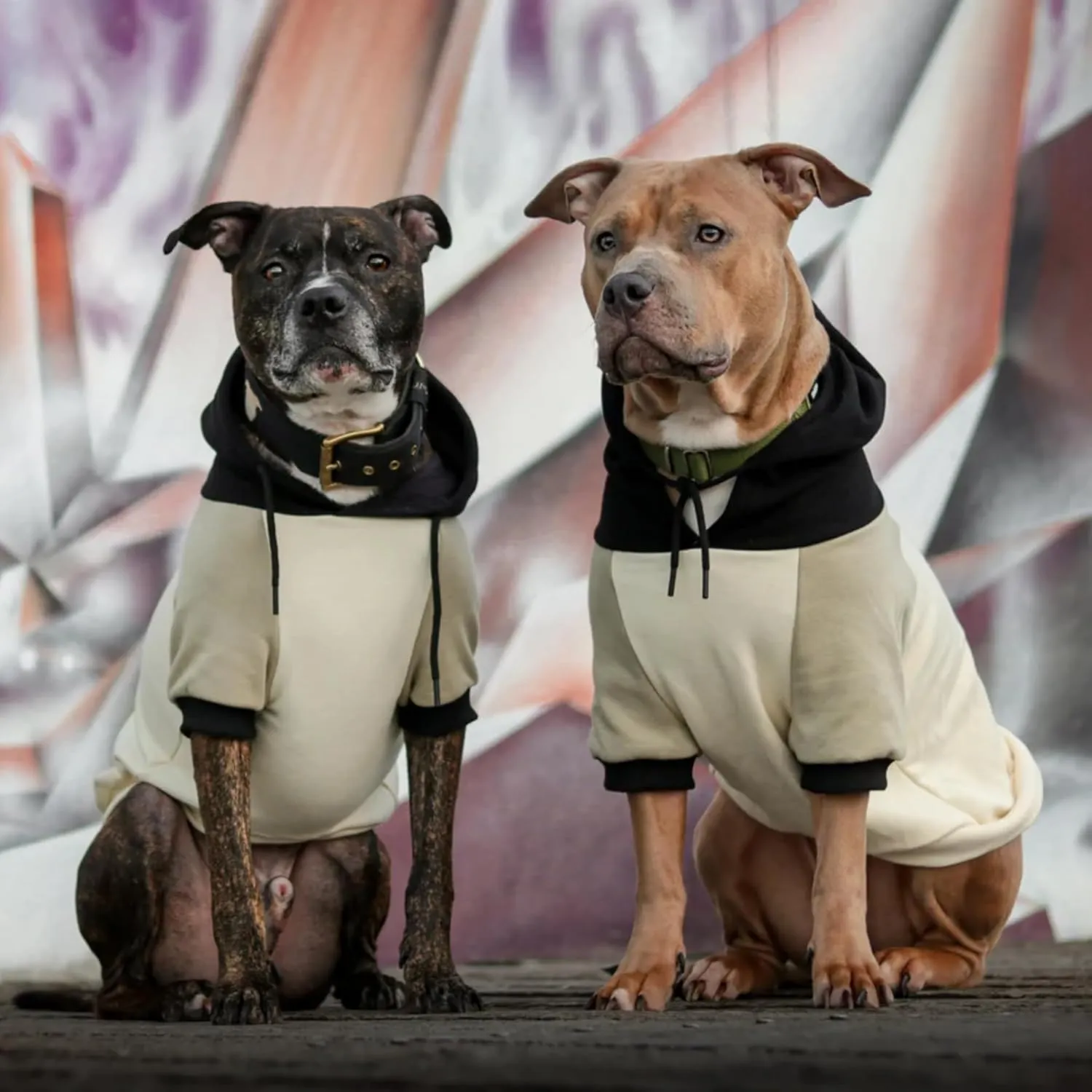 Spark Paws Dog Hoodie - Premium Quality, Buttery Soft, Superior Comfort and Fit, Calming Fleece Interior, Suitable for All Breeds - Olive Cream - S