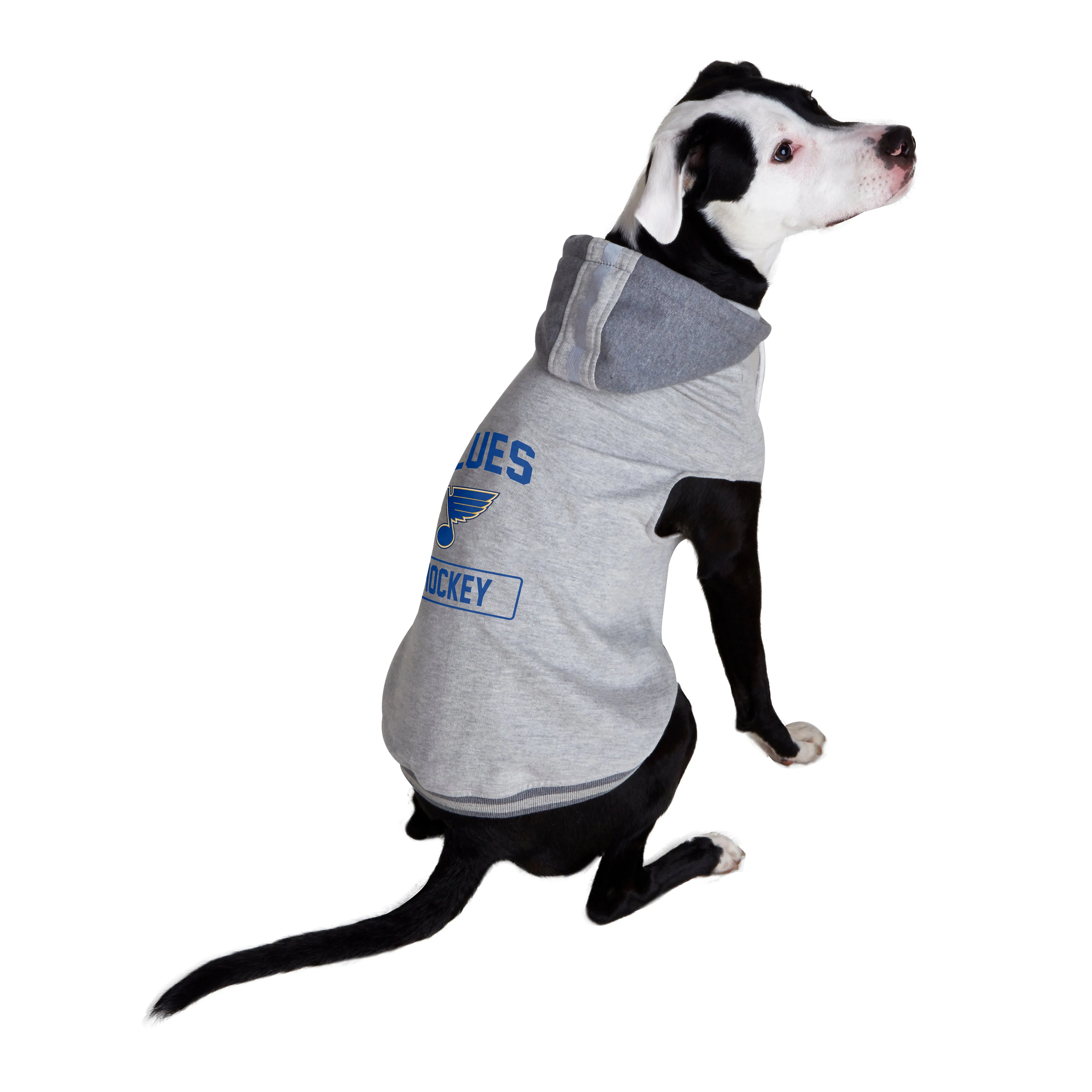 St. Louis Blues Pet Hooded Crewneck Type