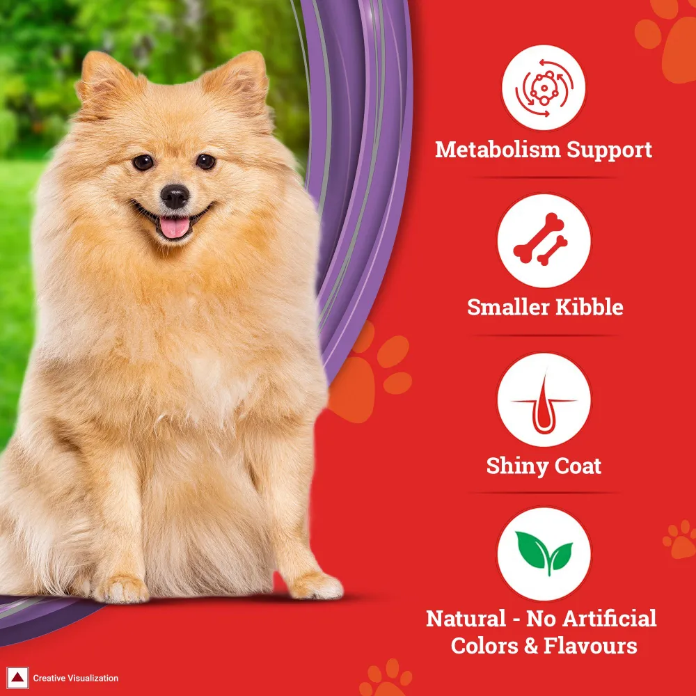 SuperCoat Chicken Adult Small Breed Dog Dry Food (Limited Shelf Life)