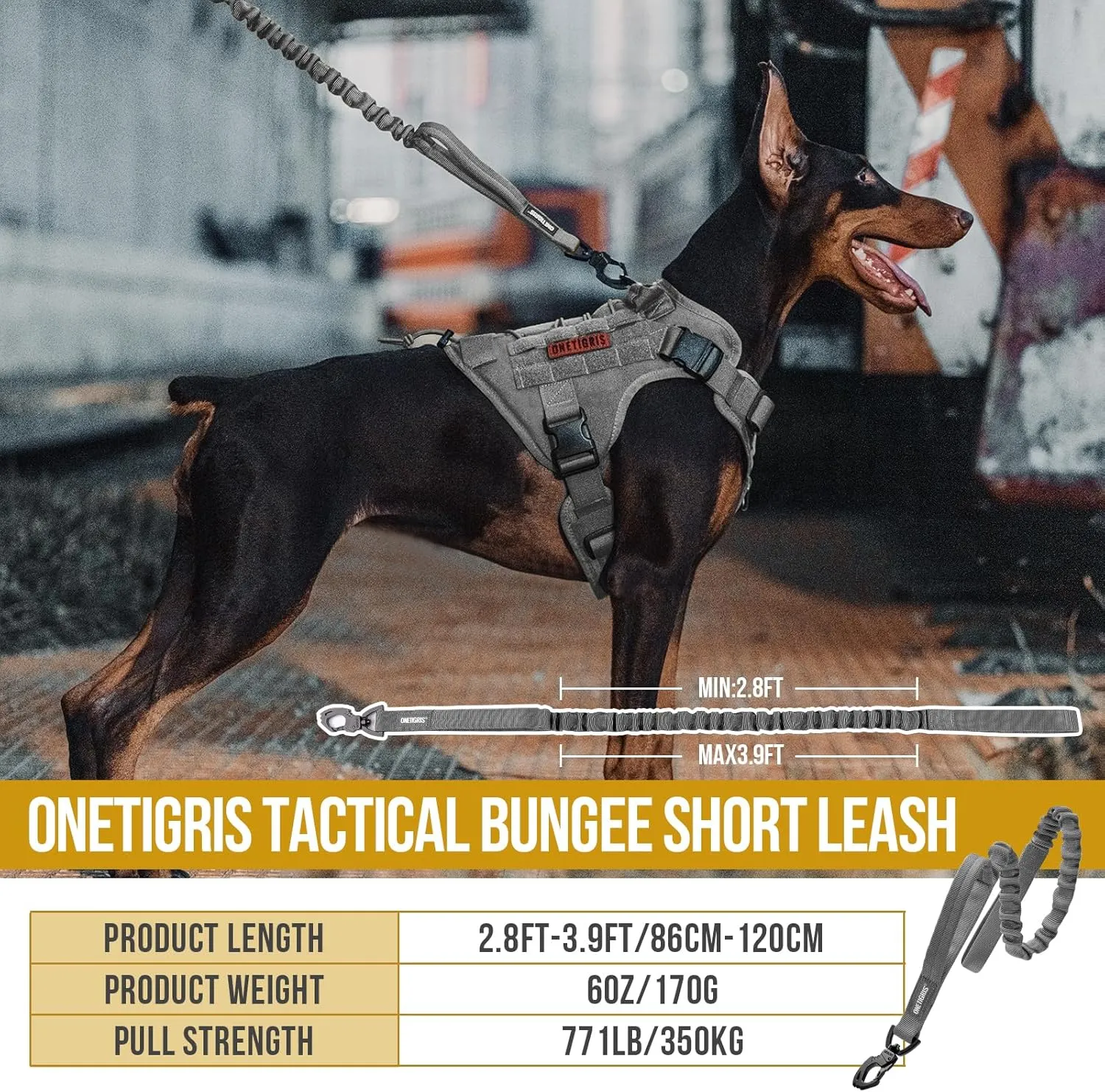 Tactical Dog Training Leash Bungee Leash with 2 Control Handle Quick Release Nylon Leads Rope(Grey)